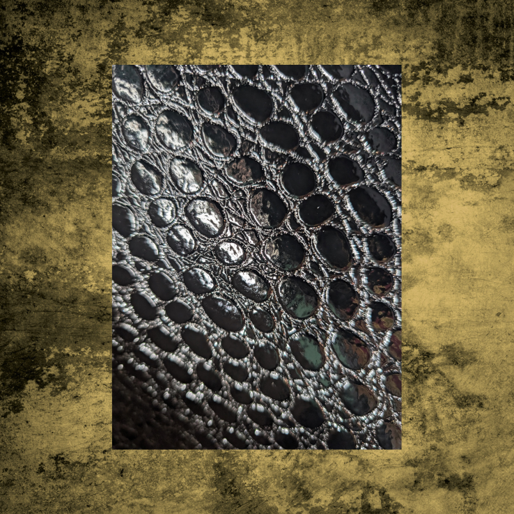 Sargkissen - Shiny Luxury