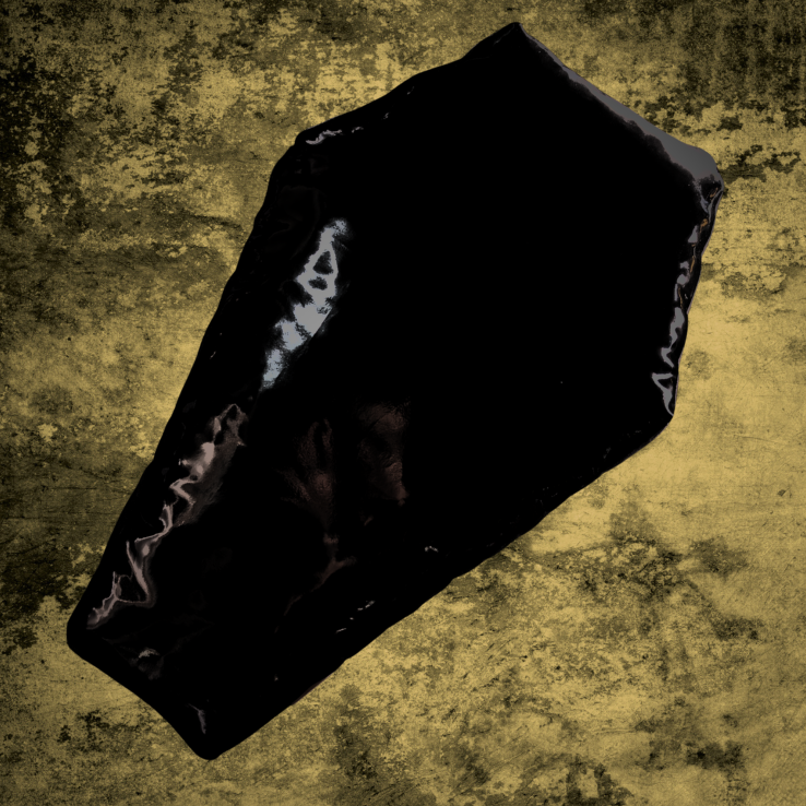 Sargkissen - Shiny Black